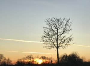 Europa Park Sonnenuntergang auf dem Parkplatz