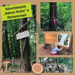 Naturschule des Naturerlebnispfads in Oberharmersbach