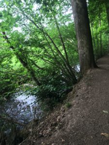 Naturerlebnispfad Oberharmersbach